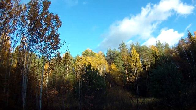 С отцом на рыбалку смотреть онлайн
