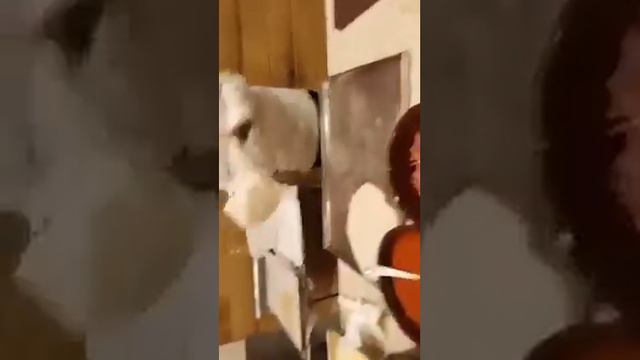 Coral Beach Resort Hurghada смотреть онлайн