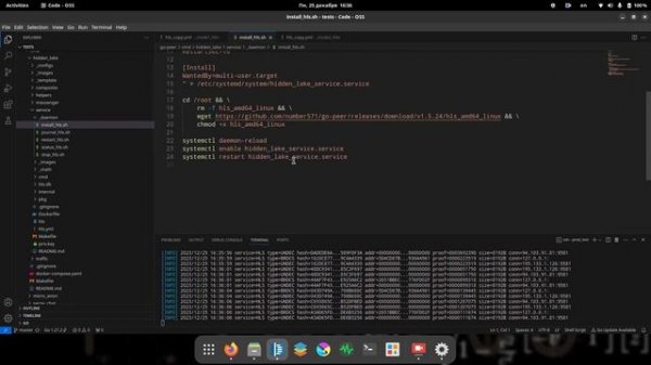// Разработка скрытых сетей #8 // Поднимаем узел Hidden Lake в глобальной сети //