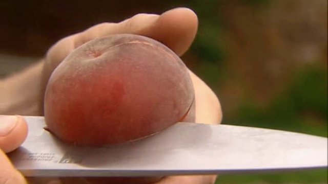 08x1_Jamie_Oliver_Letniy_salat