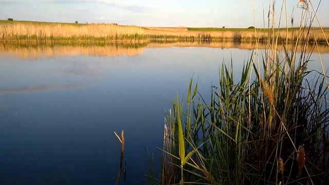 Клёв как на чёрных камнях))) смотреть онлайн