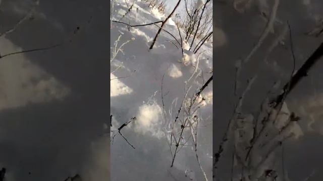 как ставить петли на зайца смотреть онлайн