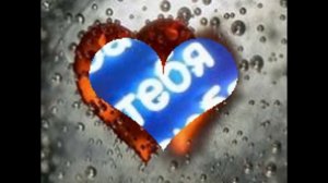 Вика Я ЛЮБЛЮ ТЕБЯ!