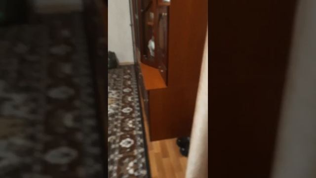 играем в кальмара