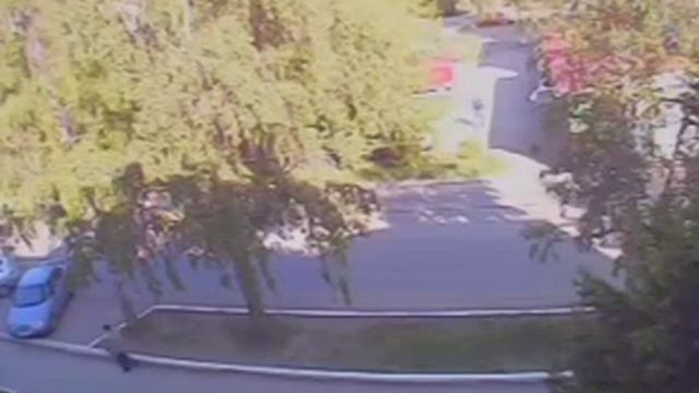 Аналоговое видео разрешения CIF (360х288) смотреть онлайн