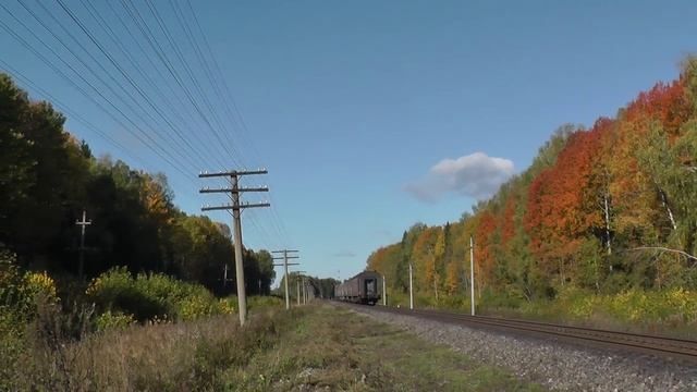 ТЭП70-0190(РЖД СЕВ. ЖД перегон Чёбаково - Ваулово) смотреть онлайн