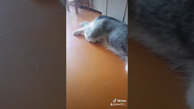 Отрезали палец😣 смотреть онлайн