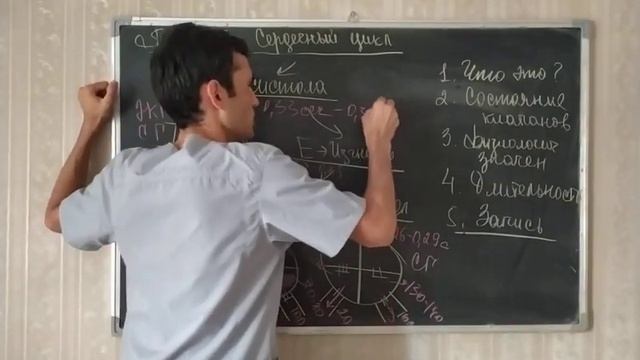 Физиология. Сердечный цикл систола и диастола.28