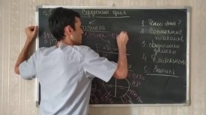 Физиология. Сердечный цикл (систола и диастола).#28