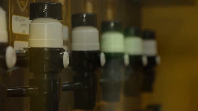 ВСЯ ПРАВДА О ФРАНШИЗЕ "ПЕННАЯ ГИЛЬДИЯ". Как мы открывали магазин в Московской обл. с этой франшизой смотреть онлайн