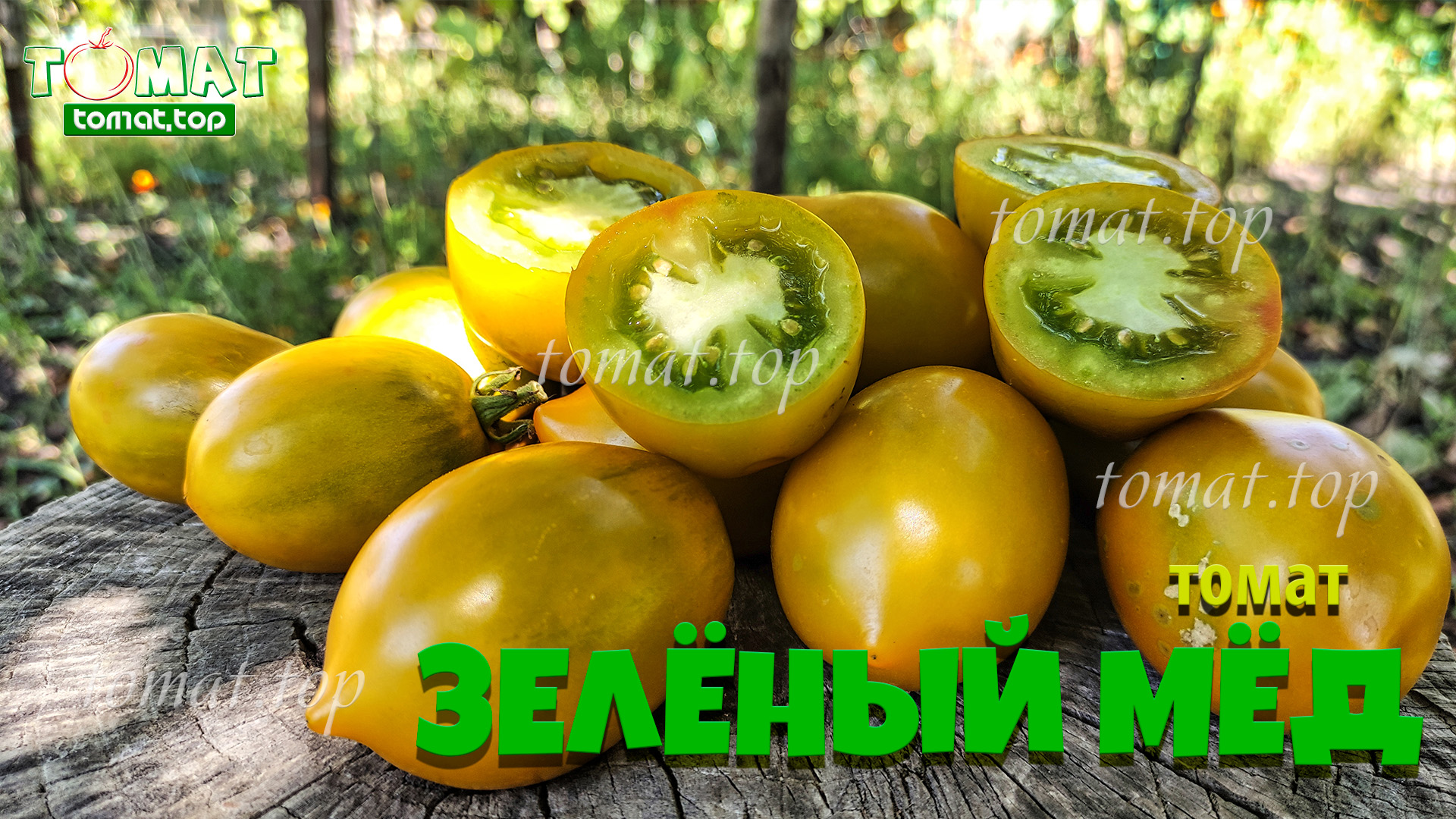 Томат Зелёный мёд. Описание, отзывы, характеристики сорта Зелёный мёд смотреть онлайн