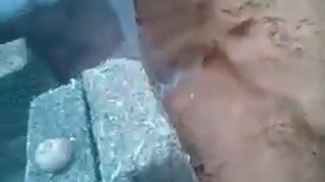 Овощная яма 3 на 3. смотреть онлайн