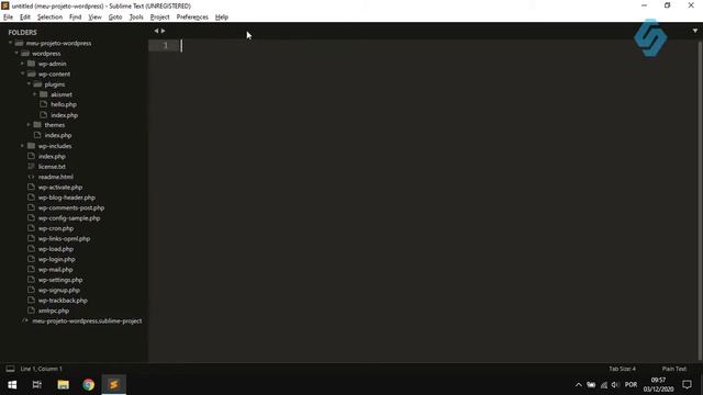 40007 - Curso de Sublime Text - Busca e Substituição em Múltiplos Arquivos смотреть онлайн