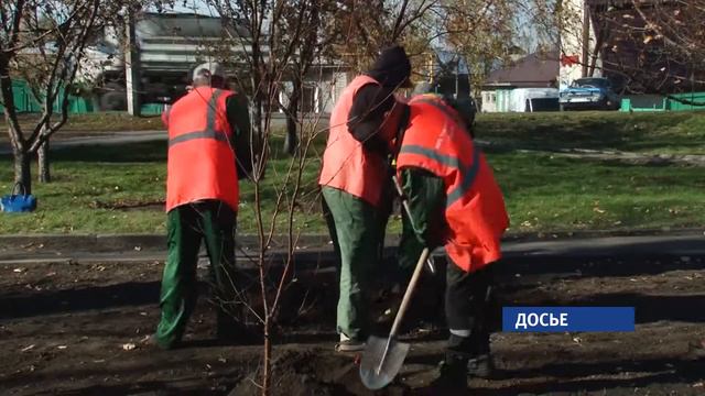 В краевой столице стартует череда санитарной очистки города смотреть онлайн