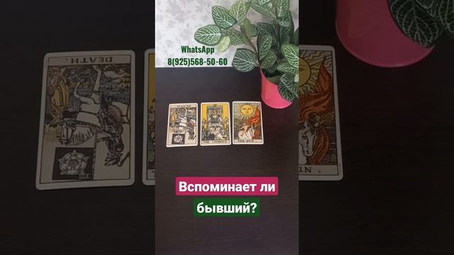 Вспоминает ли бывший? #раскладтаро #гадание #гаданиеонлайн #таро #shorts #shortstaro смотреть онлайн