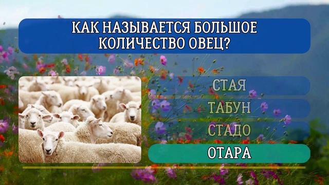 Легкий ТЕСТ на эрудицию с вариантами ответов смотреть онлайн