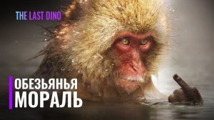 Как "Мораль" стала инструментом Эволюции?