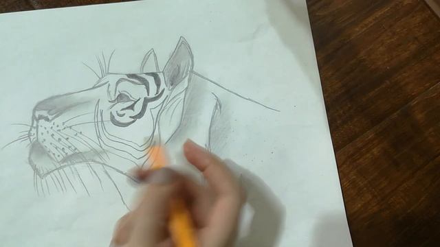 КАК НАРИСОВАТЬ ТИГРА!!!/HOW TO RAW A TIGER EASY!/ смотреть онлайн