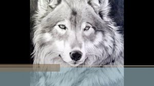 как стать оборотнем