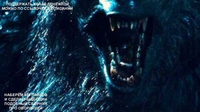 4 НОВЕЙШИХ ИСТОРИИ ПРО ОБОРОТНЕЙ смотреть онлайн