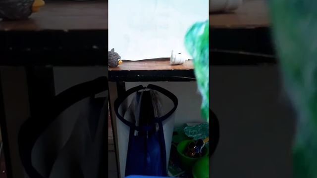 Медведь тим и Энгри бёрдс Стар варс. смотреть онлайн