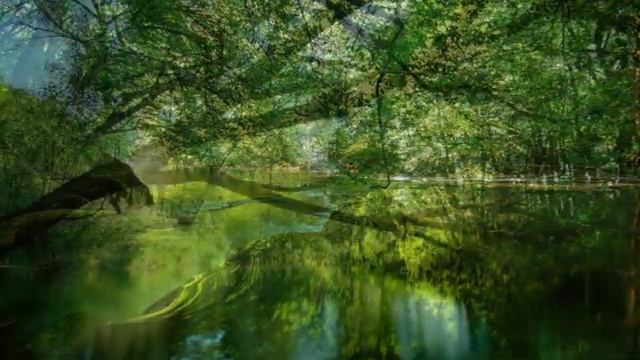 Найдите дело своей Души, занимайтесь любимым делом.