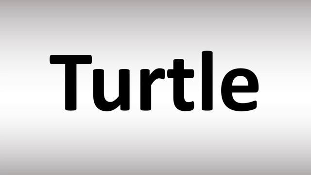 How to Pronounce Turtle смотреть онлайн