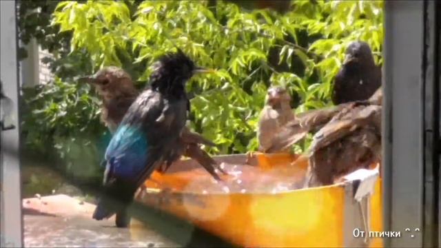 Вот оно какое, наше лето!??? смотреть онлайн