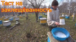 ТЕСТ на наличие КЛЕЩА. Определяем заклещеванность семей