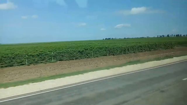 Покажу дорогу в долину лотосов июль 2021 смотреть онлайн