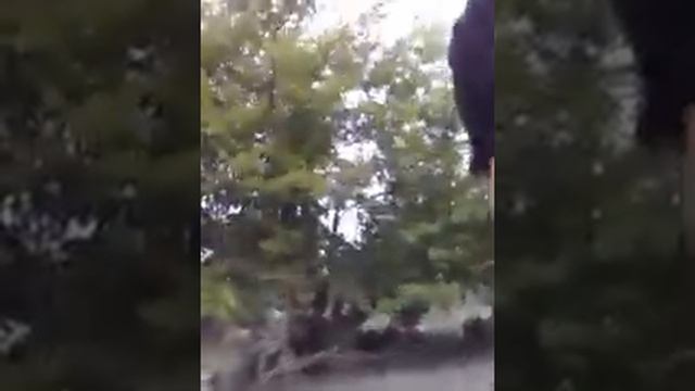 усач на реке .закидушка смотреть онлайн