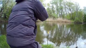 Северский Донец рыбалка весной