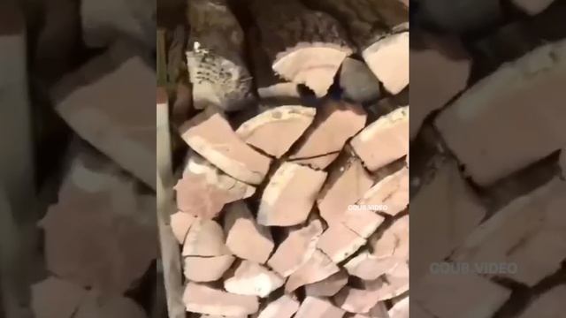 Гениально.mp4 смотреть онлайн