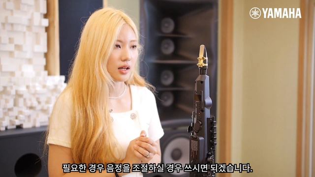 야마하 디지털 색소폰 YDS-150 매뉴얼 - ③ FN (Function) 키 사용 방법🔍 смотреть онлайн