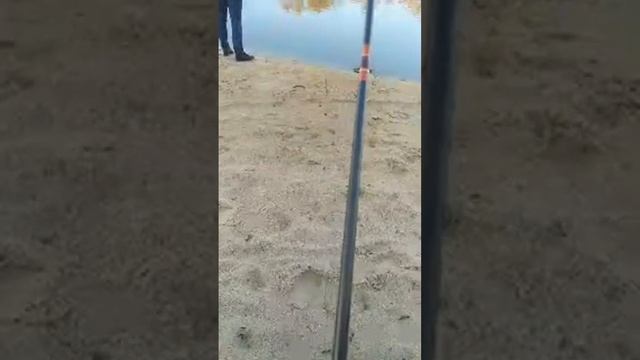 Alex_Catfish Озеро Пискувате Поиск Щуки смотреть онлайн
