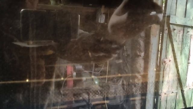 Два экстремально тонких ножа из нержавейки смотреть онлайн