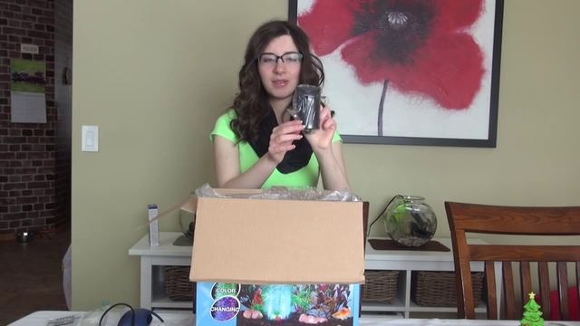 UNBOXING Tetra Bubbling LED 3 Gallon Halfmoon Aquarium смотреть онлайн