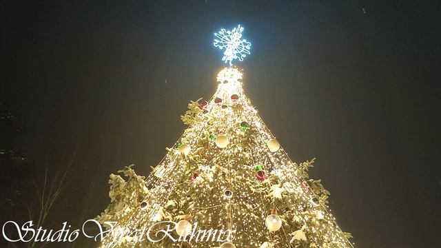 С Новым 2024 годом, Друзья!!! смотреть онлайн