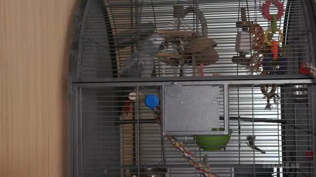 Хит месяца: "Капитан, капитан- улыбнитесь!" смотреть онлайн