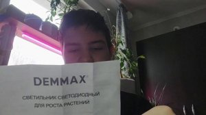 ФИТОЛАМПА ИЗ МАГАЗИНА СВЕТОФОР ,ОБЗОР!