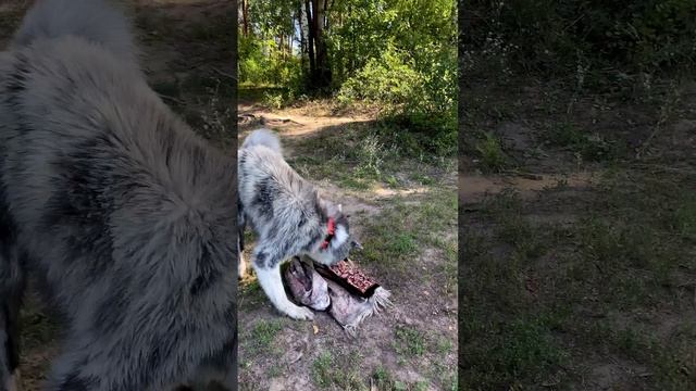 Все купаются, а у тебя дела поинтереснее смотреть онлайн