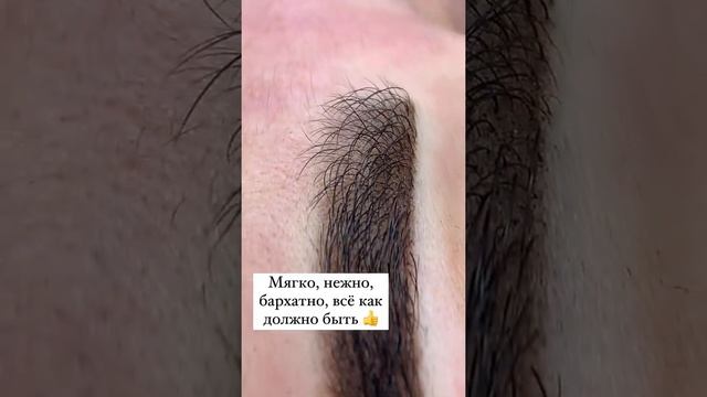 Перманентный макияж бровей Пудровые брови