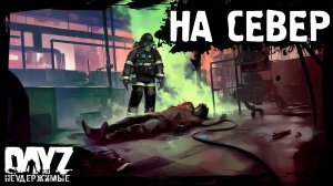 НА СЕВЕР: DayZ НЕУДЕРЖИМЫЕ с нуля (5 серия, лето-осень 2024, патч 1.25)