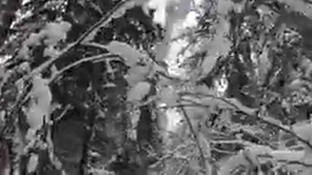 Памяти Александра Кузьмича Попова смотреть онлайн