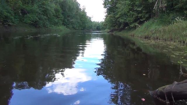 Ловля язя и окуня на малой реке на воблеры и блёсны. Река Керженец смотреть онлайн
