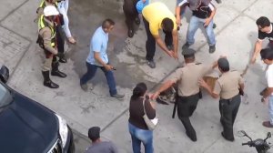 Питбуль вцепился в другую сабаку