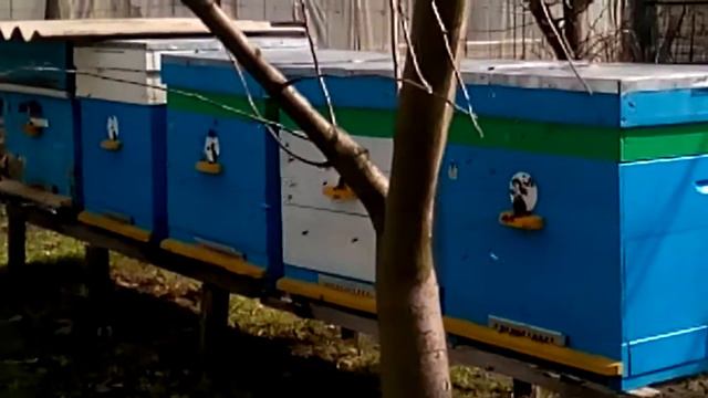 Первый облёт 17.03.18г. смотреть онлайн