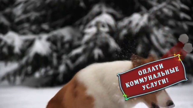 Новогодняя реклама РКС смотреть онлайн