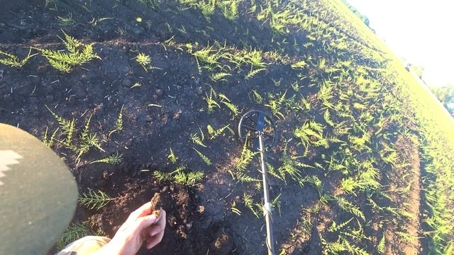 ЭТО ПОЛЕ БЫЛО НА РАСХВАТ СРЕДИ ПРИЕЗЖИХ.... КРУЧЕ ЛЮБОГО ФИЛЬМА! Gold Hunter B75 смотреть онлайн