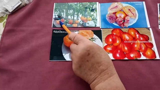 Сибирь. Выбираем лучшие сорта проверенных желтоплодных томатов. смотреть онлайн